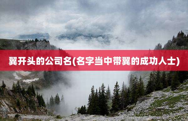 翼开头的公司名(名字当中带翼的成功人士)