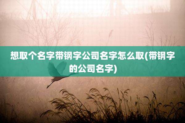 想取个名字带钢字公司名字怎么取(带钢字的公司名字)