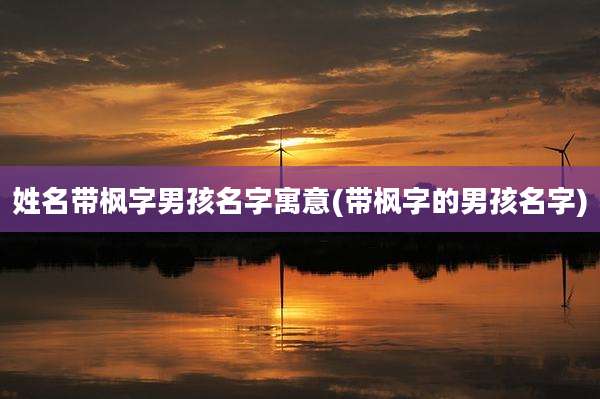 姓名带枫字男孩名字寓意(带枫字的男孩名字)