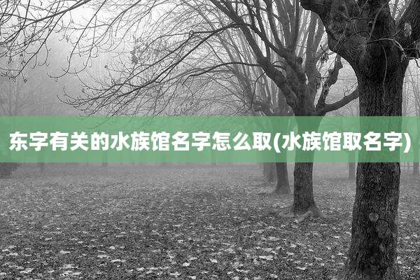 东字有关的水族馆名字怎么取(水族馆取名字)