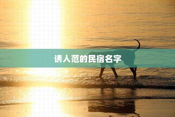 诱人范的民宿名字