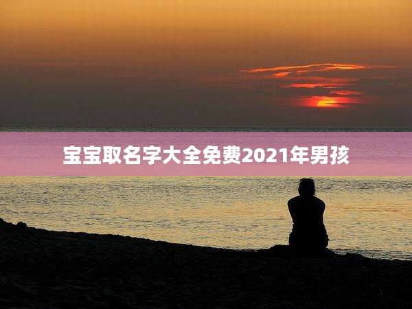 宝宝取名字大全免费2021年男孩