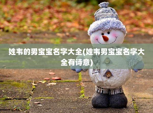 姓韦的男宝宝名字大全(姓韦男宝宝名字大全有诗意)