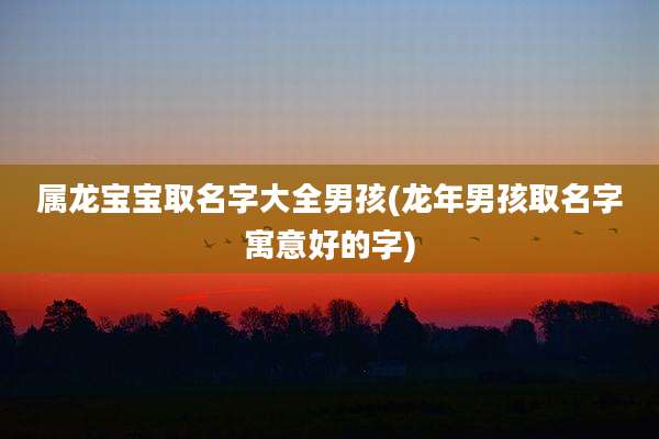 属龙宝宝取名字大全男孩(龙年男孩取名字寓意好的字)
