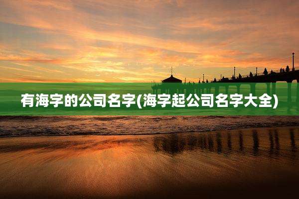 有海字的公司名字(海字起公司名字大全)
