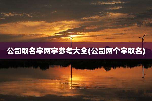 公司取名字两字参考大全(公司两个字取名)
