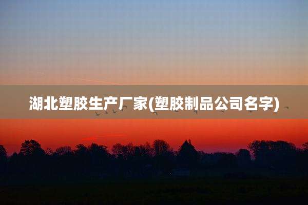 湖北塑胶生产厂家(塑胶制品公司名字)