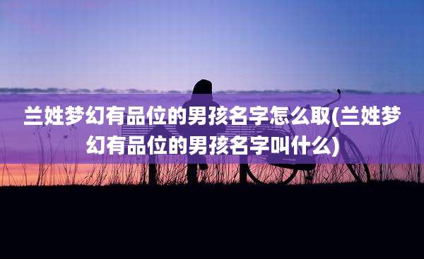 兰姓梦幻有品位的男孩名字怎么取(兰姓梦幻有品位的男孩名字叫什么)