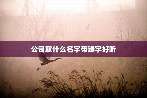 公司取什么名字带臻字好听