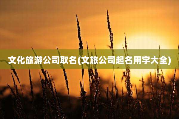 文化旅游公司取名(文旅公司起名用字大全)