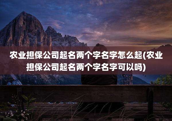农业担保公司起名两个字名字怎么起(农业担保公司起名两个字名字可以吗)