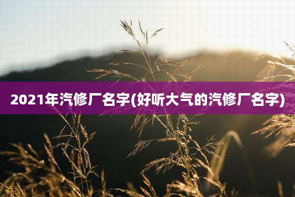 2021年汽修厂名字(好听大气的汽修厂名字)