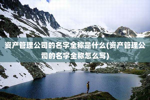 资产管理公司的名字全称是什么(资产管理公司的名字全称怎么写)