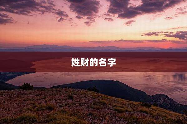 姓财的名字