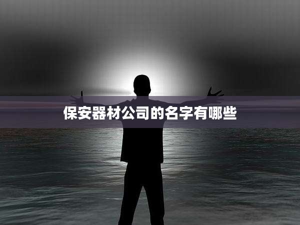 保安器材公司的名字有哪些
