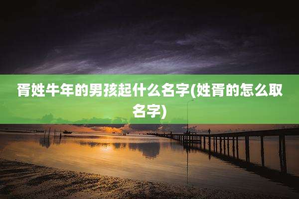 胥姓牛年的男孩起什么名字(姓胥的怎么取名字)