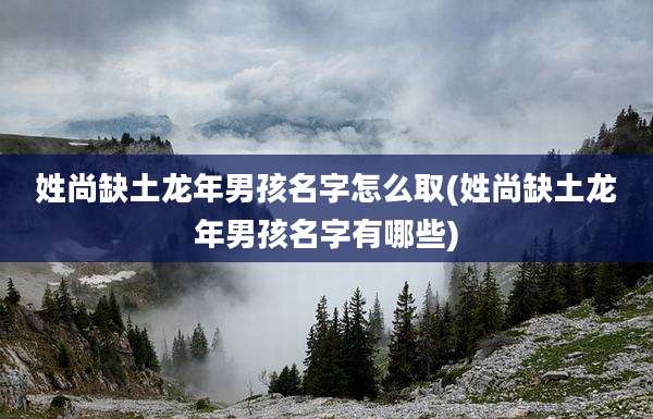 姓尚缺土龙年男孩名字怎么取(姓尚缺土龙年男孩名字有哪些)