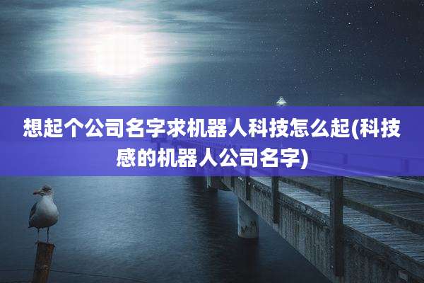 想起个公司名字求机器人科技怎么起(科技感的机器人公司名字)