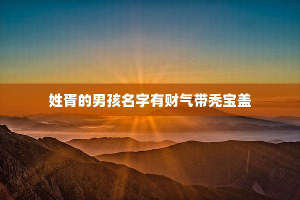 姓胥的男孩名字有财气带秃宝盖