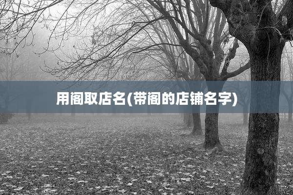用阁取店名(带阁的店铺名字)