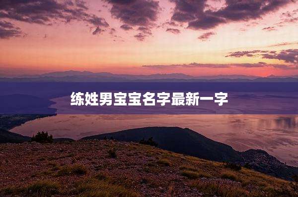 练姓男宝宝名字最新一字
