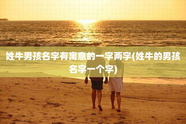 姓牛男孩名字有寓意的一字两字(姓牛的男孩名字一个字)