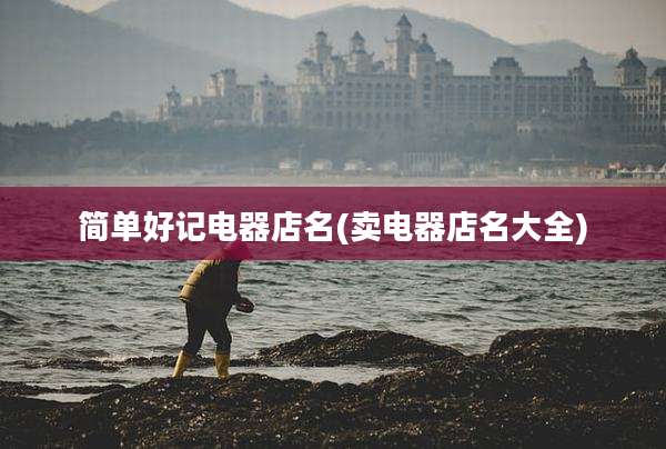 简单好记电器店名(卖电器店名大全)