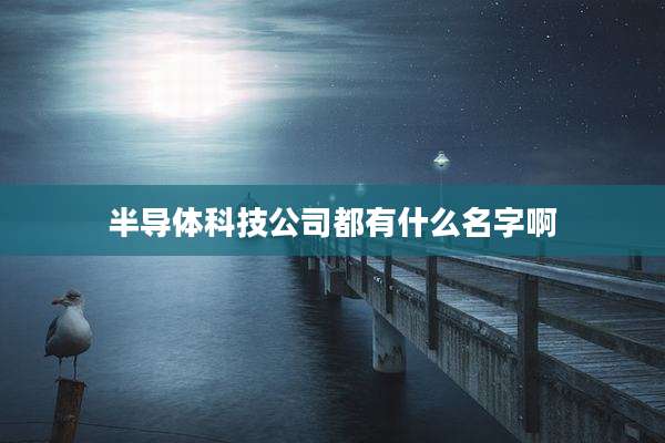 半导体科技公司都有什么名字啊