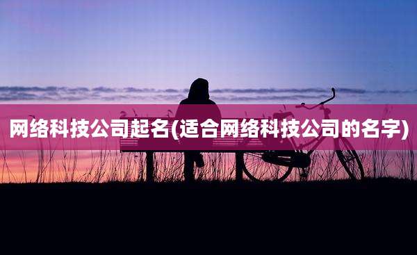 网络科技公司起名(适合网络科技公司的名字)