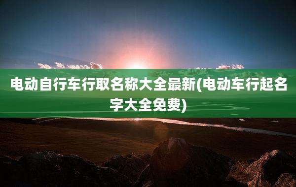 电动自行车行取名称大全最新(电动车行起名字大全免费)