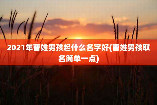 2021年曹姓男孩起什么名字好(曹姓男孩取名简单一点)
