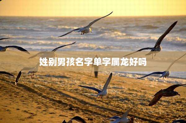 姓别男孩名字单字属龙好吗