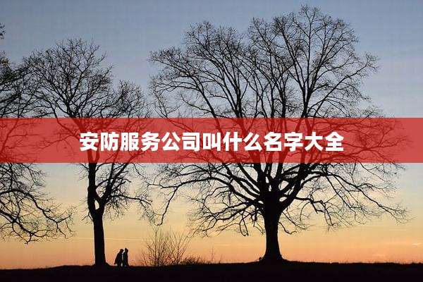 安防服务公司叫什么名字大全