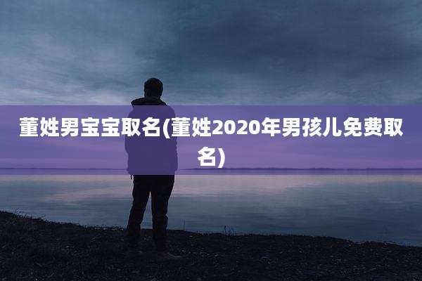 董姓男宝宝取名(董姓2020年男孩儿免费取名)