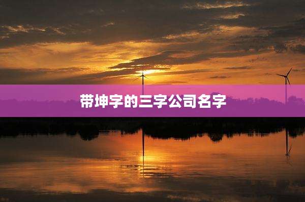 带坤字的三字公司名字