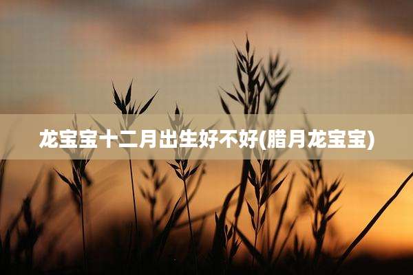 龙宝宝十二月出生好不好(腊月龙宝宝)