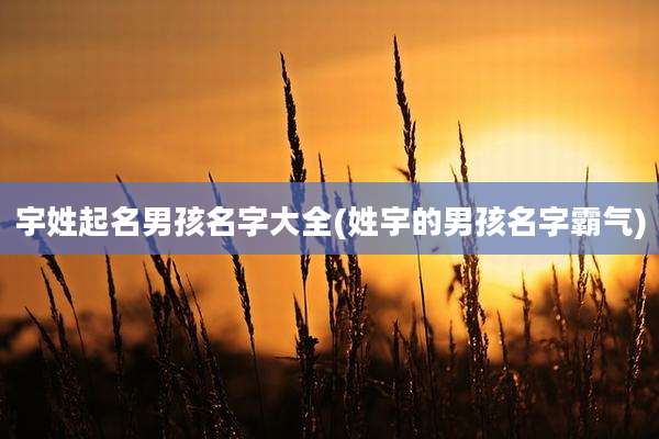 宇姓起名男孩名字大全(姓宇的男孩名字霸气)