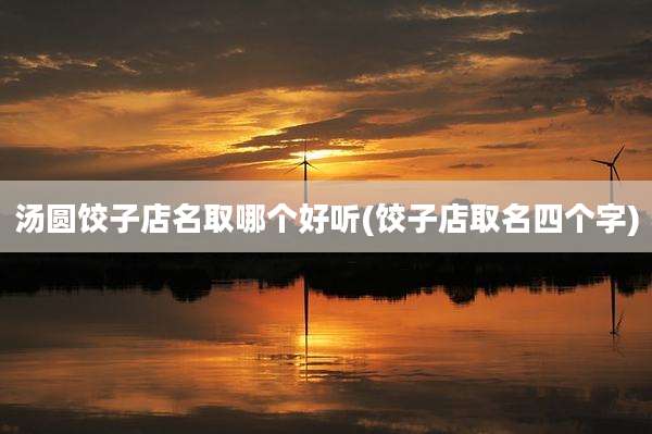 汤圆饺子店名取哪个好听(饺子店取名四个字)