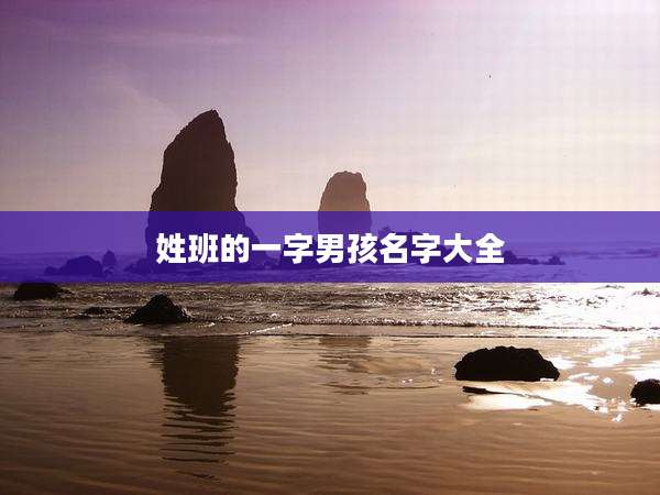 姓班的一字男孩名字大全
