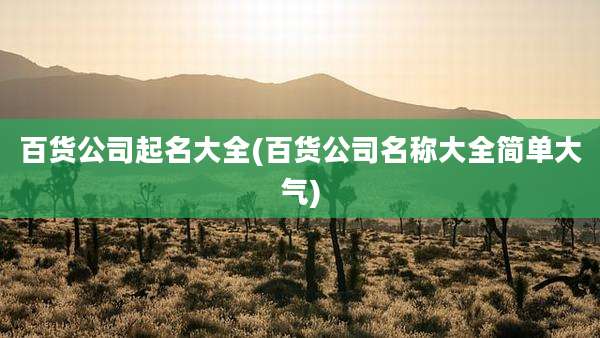 百货公司起名大全(百货公司名称大全简单大气)
