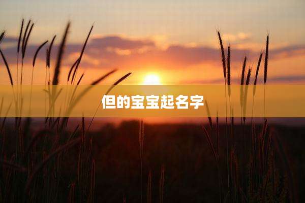 但的宝宝起名字