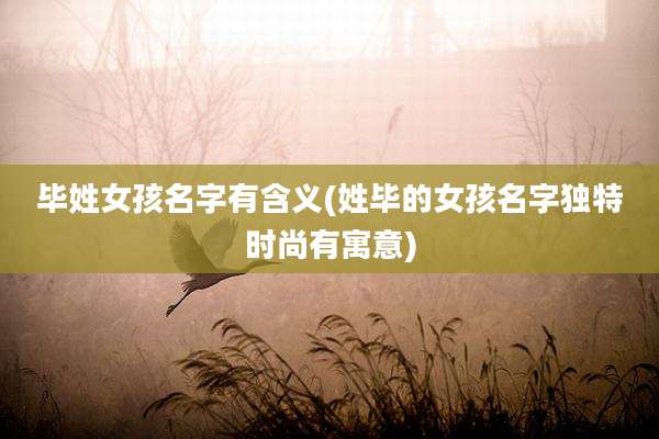 毕姓女孩名字有含义(姓毕的女孩名字独特时尚有寓意)