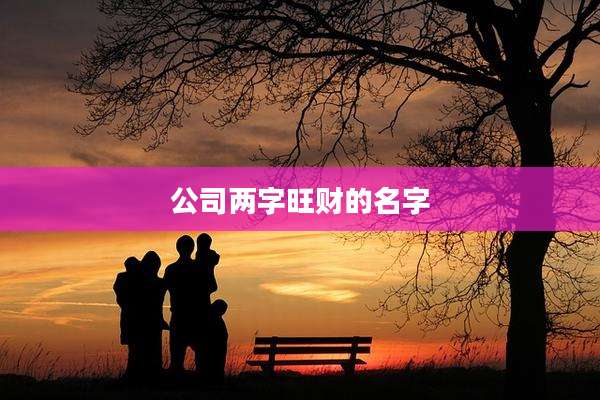 公司两字旺财的名字