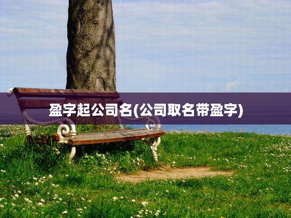 盈字起公司名(公司取名带盈字)