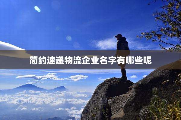 简约速递物流企业名字有哪些呢