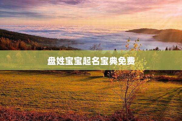 盘姓宝宝起名宝典免费