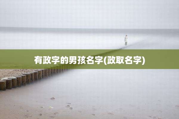 有政字的男孩名字(政取名字)