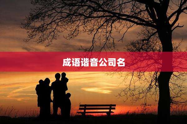 成语谐音公司名