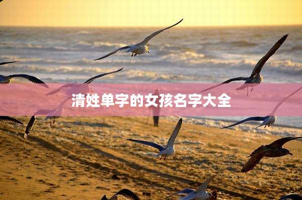清姓单字的女孩名字大全