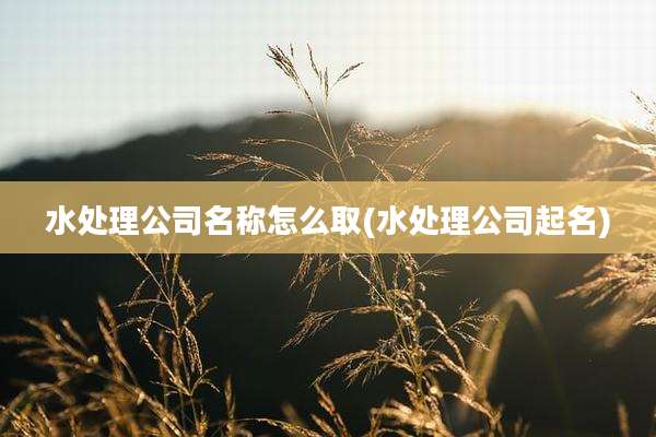 水处理公司名称怎么取(水处理公司起名)